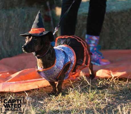 West Texas Endurance Howl-o-Ween Run 