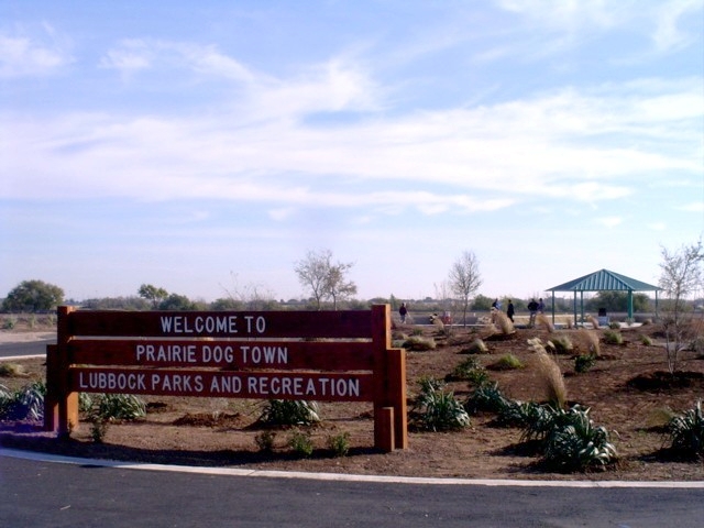 prairie-dog-town-in-mackenzie-park