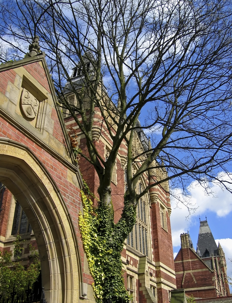 University clc