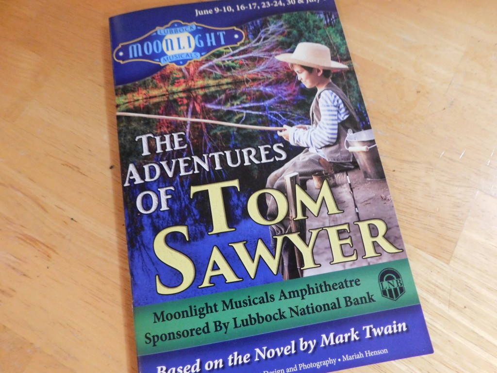 Tom Sawyer program